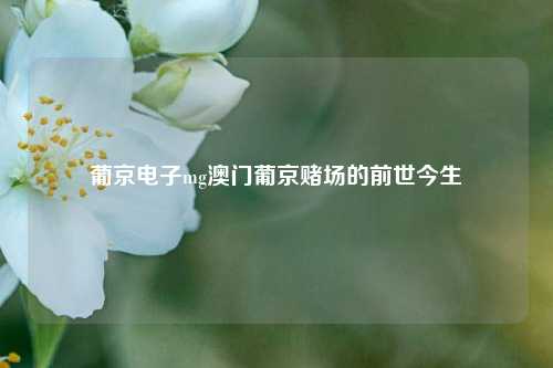 葡京电子mg澳门葡京赌场的前世今生