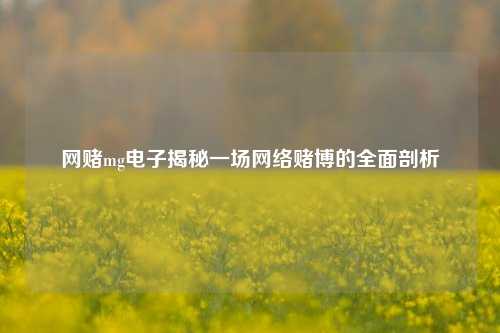 网赌mg电子揭秘一场网络赌博的全面剖析