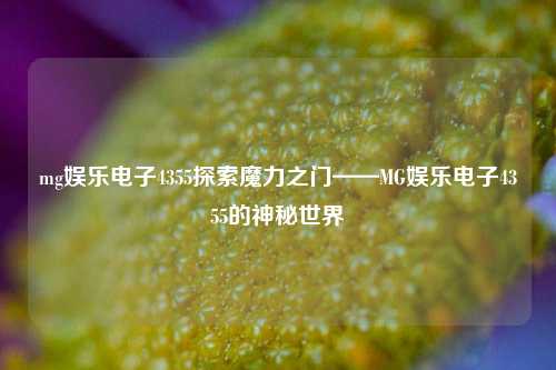 mg娱乐电子4355探索魔力之门——MG娱乐电子4355的神秘世界