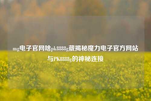 mg电子官网啥pk8888g葳揭秘魔力电子官方网站与PK8888g的神秘连接