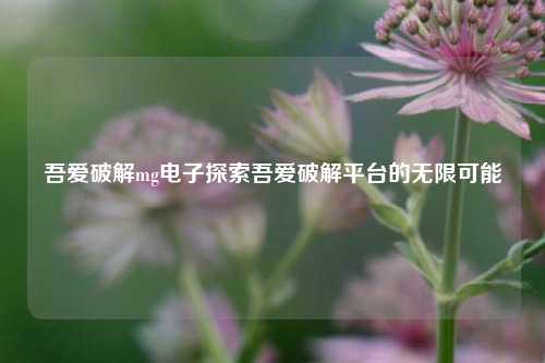 吾爱破解mg电子探索吾爱破解平台的无限可能