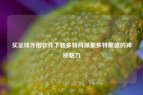 买足球外围软件下载多特网探索多特蒙德的神秘魅力