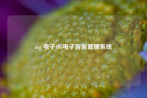 mg 电子MG电子智能管理系统