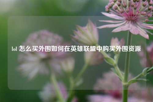 lol 怎么买外围如何在英雄联盟中购买外围资源