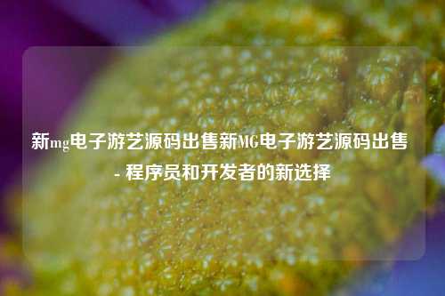 新mg电子游艺源码出售新MG电子游艺源码出售 - 程序员和开发者的新选择