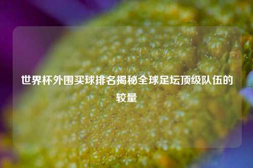 世界杯外围买球排名揭秘全球足坛顶级队伍的较量