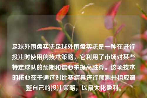 足球外围盘买法足球外围盘买法是一种在进行投注时使用的技术策略，它利用了市场对某些特定球队的预期和信心来提高胜算。这项技术的核心在于通过对比赛结果进行预测并相应调整自己的投注策略，以最大化盈利。