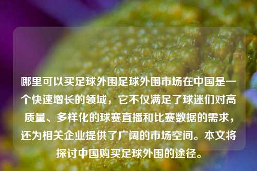 哪里可以买足球外围足球外围市场在中国是一个快速增长的领域，它不仅满足了球迷们对高质量、多样化的球赛直播和比赛数据的需求，还为相关企业提供了广阔的市场空间。本文将探讨中国购买足球外围的途径。