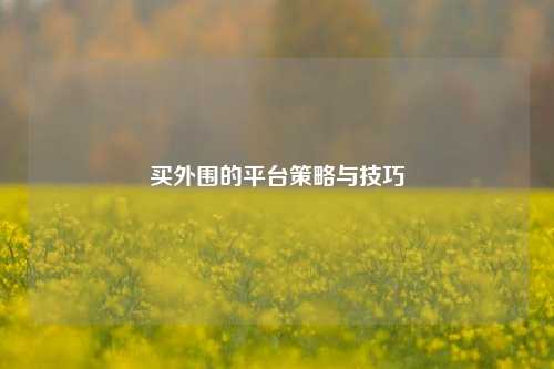 买外围的平台策略与技巧