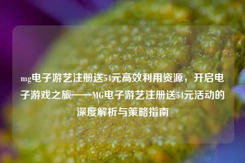 mg电子游艺注册送54元高效利用资源，开启电子游戏之旅——MG电子游艺注册送54元活动的深度解析与策略指南