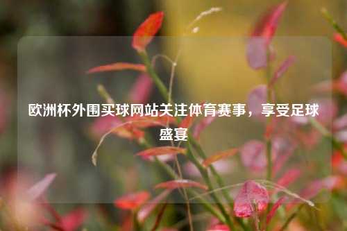 欧洲杯外围买球网站关注体育赛事，享受足球盛宴