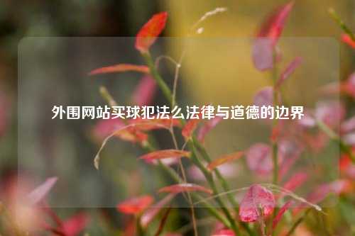 外围网站买球犯法么法律与道德的边界