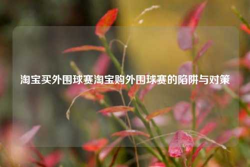 淘宝买外围球赛淘宝购外围球赛的陷阱与对策