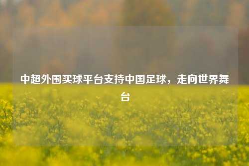 中超外围买球平台支持中国足球，走向世界舞台