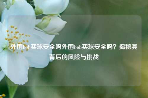 外围bob买球安全吗外围bob买球安全吗？揭秘其背后的风险与挑战
