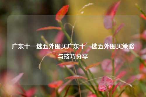 广东十一选五外围买广东十一选五外围买策略与技巧分享