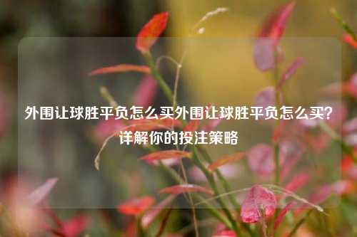 外围让球胜平负怎么买外围让球胜平负怎么买？详解你的投注策略