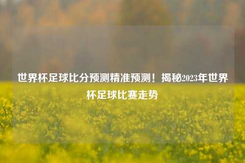 世界杯足球比分预测精准预测！揭秘2023年世界杯足球比赛走势
