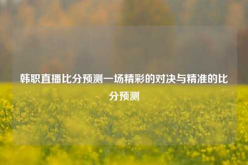 韩职直播比分预测一场精彩的对决与精准的比分预测
