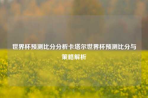 世界杯预测比分分析卡塔尔世界杯预测比分与策略解析