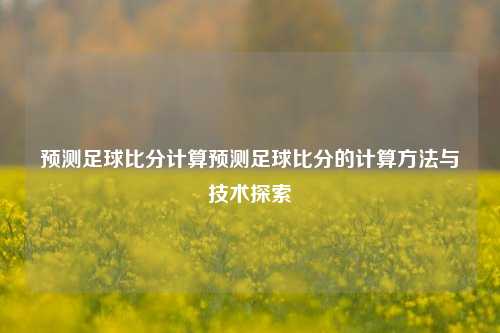 预测足球比分计算预测足球比分的计算方法与技术探索