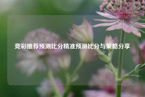 竞彩推荐预测比分精准预测比分与策略分享