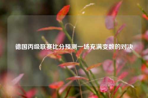 德国丙级联赛比分预测一场充满变数的对决