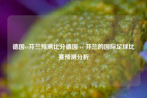 德国vs芬兰预测比分德国 vs 芬兰的国际足球比赛预测分析