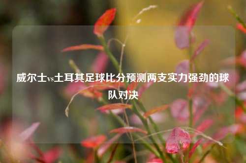 威尔士vs土耳其足球比分预测两支实力强劲的球队对决