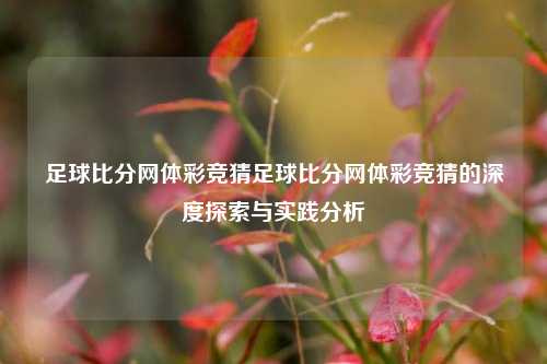 足球比分网体彩竞猜足球比分网体彩竞猜的深度探索与实践分析