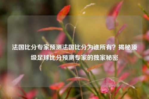 法国比分专家预测法国比分为谁所有？揭秘顶级足球比分预测专家的独家秘密