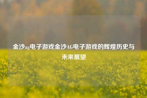 金沙ag电子游戏金沙AG电子游戏的辉煌历史与未来展望