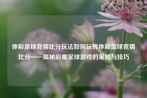 体彩足球竞猜比分玩法如何玩转体彩足球竞猜比分——揭秘彩票足球游戏的策略与技巧