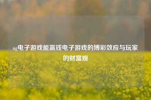 ag电子游戏能赢钱电子游戏的博彩效应与玩家的财富观