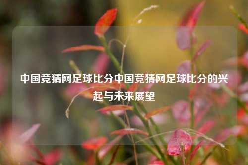 中国竞猜网足球比分中国竞猜网足球比分的兴起与未来展望