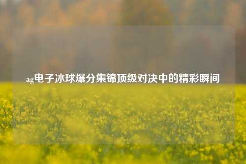 ag电子冰球爆分集锦顶级对决中的精彩瞬间