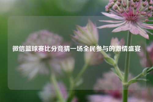 微信篮球赛比分竞猜一场全民参与的激情盛宴