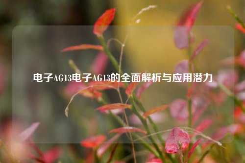 电子AG13电子AG13的全面解析与应用潜力
