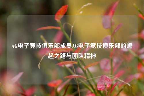 AG电子竞技俱乐部成员AG电子竞技俱乐部的崛起之路与团队精神