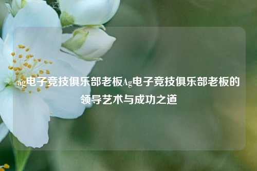 ag电子竞技俱乐部老板Ag电子竞技俱乐部老板的领导艺术与成功之道