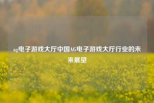 ag电子游戏大厅中国AG电子游戏大厅行业的未来展望