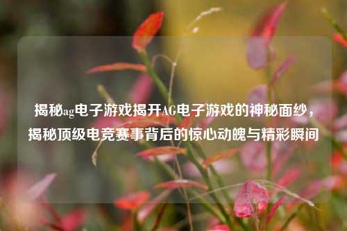 揭秘ag电子游戏揭开AG电子游戏的神秘面纱，揭秘顶级电竞赛事背后的惊心动魄与精彩瞬间