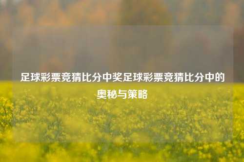 足球彩票竞猜比分中奖足球彩票竞猜比分中的奥秘与策略