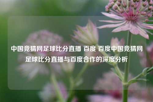 中国竞猜网足球比分直播 百度 百度中国竞猜网足球比分直播与百度合作的深度分析