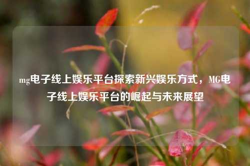 mg电子线上娱乐平台探索新兴娱乐方式，MG电子线上娱乐平台的崛起与未来展望