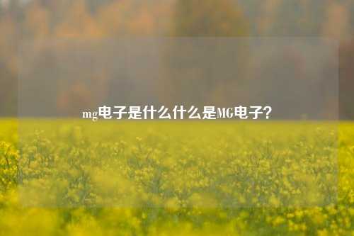 mg电子是什么什么是MG电子？
