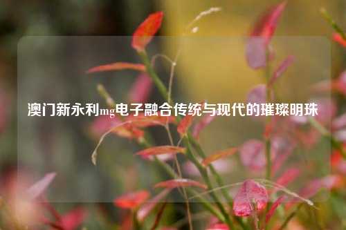 澳门新永利mg电子融合传统与现代的璀璨明珠