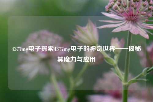 4377mg电子探索4377mg电子的神奇世界——揭秘其魔力与应用