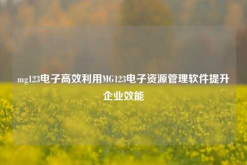 mg123电子高效利用MG123电子资源管理软件提升企业效能