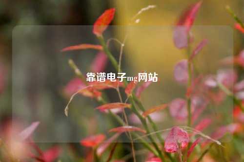 靠谱电子mg网站